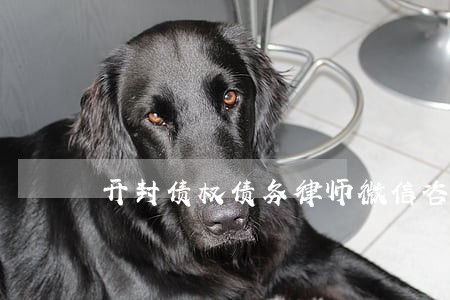 开封债权债务律师微信咨询 开封债权债务律师微信咨询