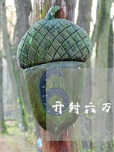 开封六万网贷逾期 开封六万网贷逾期