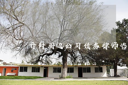 开封周边公司债务律师咨询 开封周边公司债务律师咨询