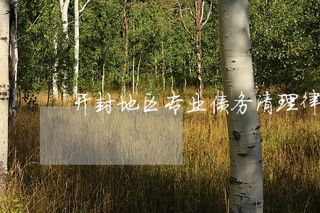 开封地区专业债务清理律师推荐 开封地区专业债务清理律师推荐