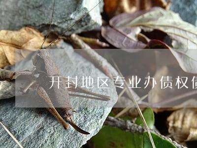 开封地区专业办债权债务律师 开封地区专业办债权债务律师