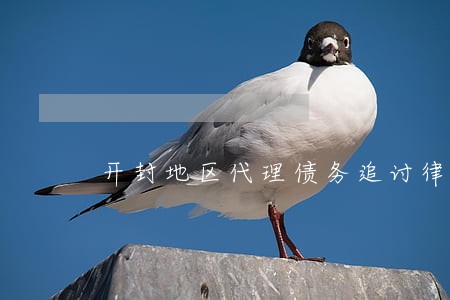 开封地区代理债务追讨律师选谁 开封地区代理债务追讨律师选谁