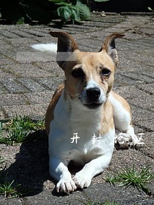 开封地区代理刑事纠纷律师 开封地区代理刑事纠纷律师