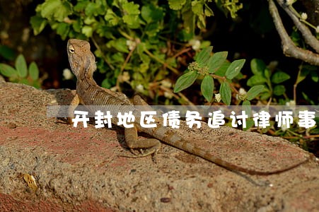 开封地区债务追讨律师事务所 开封地区债务追讨律师事务所