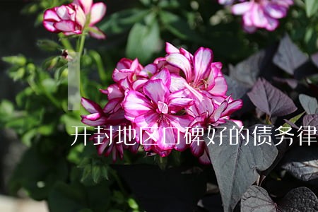 开封地区口碑好的债务律师多少钱 开封地区口碑好的债务律师多少钱