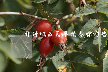 开封地区民事债务律师咨询电话 开封地区民事债务律师咨询电话