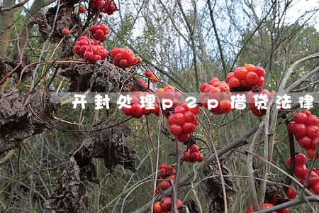 开封处理p2p借贷法律问题律师 开封处理p2p借贷法律问题律师