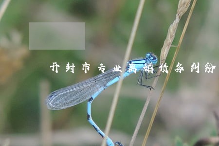 开封市专业离婚债务纠纷律师 开封市专业离婚债务纠纷律师