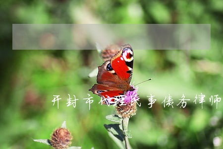 开封市代理民事债务律师电话咨询 开封市代理民事债务律师电话咨询