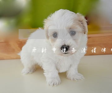 开封市债务清理律师选谁 开封市债务清理律师选谁