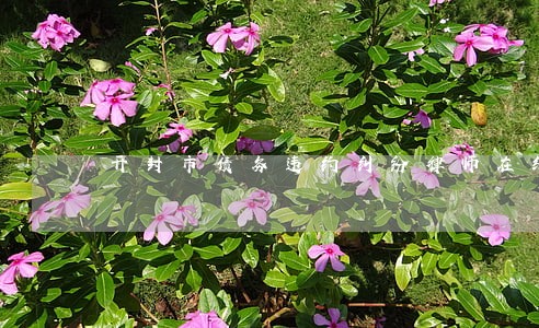开封市债务违约纠纷律师在线咨询 开封市债务违约纠纷律师在线咨询
