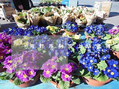 开封市刑事上诉律师咨询电话 开封市刑事上诉律师咨询电话