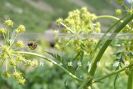 开封市办理债务纠纷律师哪个好 开封市办理债务纠纷律师哪个好