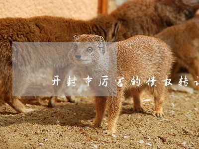 开封市厉害的债权转让律师 开封市厉害的债权转让律师