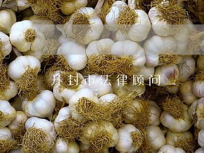 开封市法律顾问
