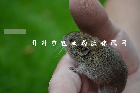 开封市电业局法律顾问 开封市电业局法律顾问