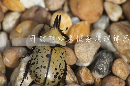 开封市知名债务清理律师咨询电话 开封市知名债务清理律师咨询电话