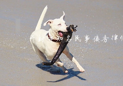 开封市知名民事债务律师多少钱 开封市知名民事债务律师多少钱