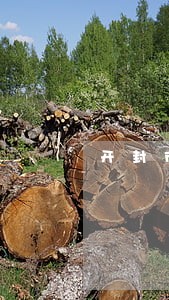开封市离婚咨询律师 开封市离婚咨询律师