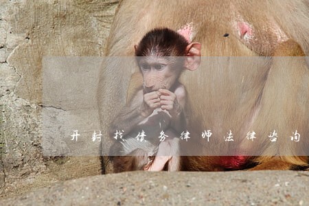 开封找债务律师法律咨询 开封找债务律师法律咨询