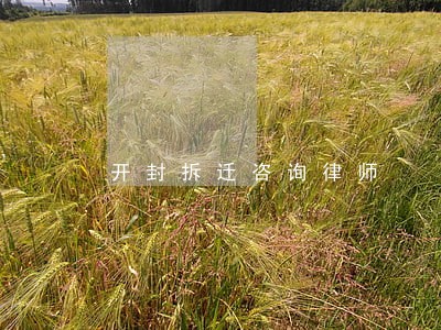 开封拆迁咨询律师 开封拆迁咨询律师