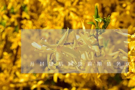 开封捷信网贷逾期债务优化 开封捷信网贷逾期债务优化
