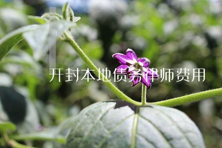 开封本地债务律师费用 开封本地债务律师费用