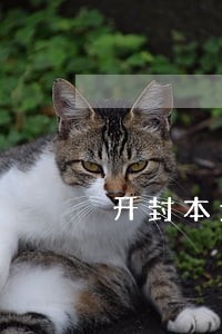开封本地债务纠纷律师费用 开封本地债务纠纷律师费用