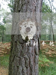 开封本地公司债务律师如何委托 开封本地公司债务律师如何委托