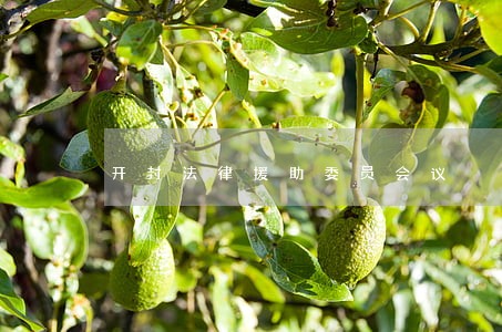 开封法律援助委员会议 开封法律援助委员会议