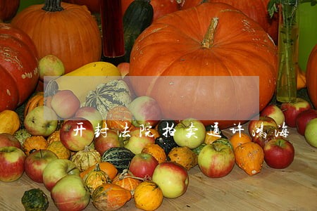 开封法院拍卖通许鸿海 开封法院拍卖通许鸿海