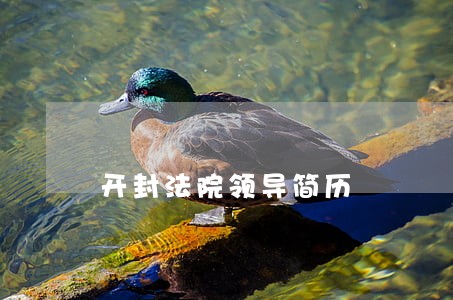 开封法院领导简历 开封法院领导简历