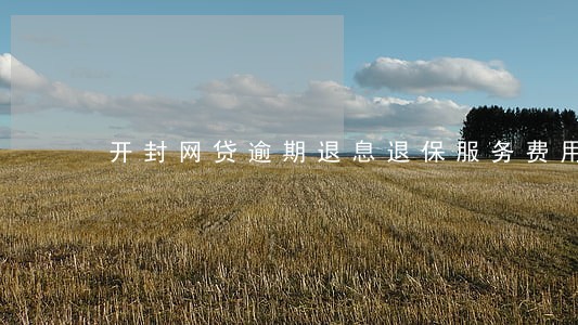 开封网贷逾期退息退保服务费用