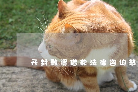 开封融资借款法律咨询热线 开封融资借款法律咨询热线
