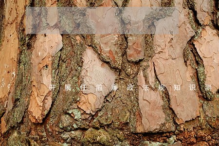 开展任前廉政法规知识测试 开展任前廉政法规知识测试
