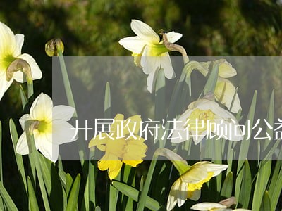 开展政府法律顾问公益活动 开展政府法律顾问公益活动