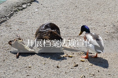 开展档案法规宣传 开展档案法规宣传