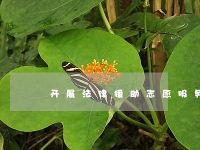开展法律援助志愿服务活动 开展法律援助志愿服务活动