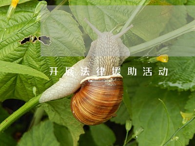 开展法律援助活动 开展法律援助活动