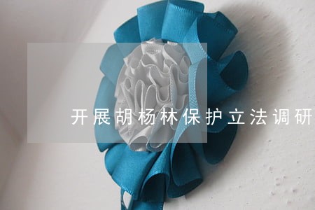 开展胡杨林保护立法调研