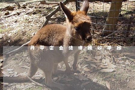 开平企业法律顾问平台 开平企业法律顾问平台