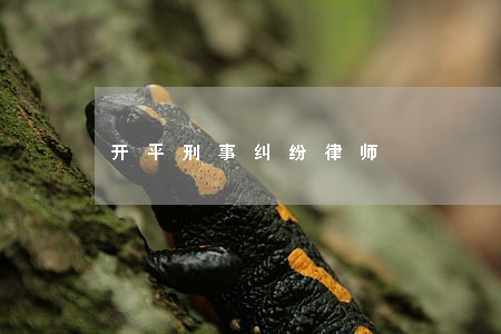 开平刑事纠纷律师 开平刑事纠纷律师