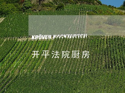 开平法院厨房 开平法院厨房