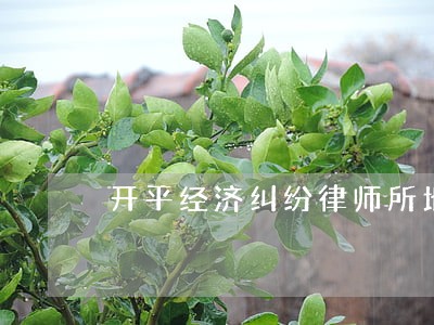 开平经济纠纷律师所地址 开平经济纠纷律师所地址