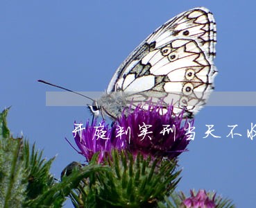 开庭判实刑当天不收监的有吗 开庭判实刑当天不收监的有吗