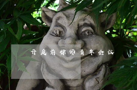 开庭前律师青年会议 开庭前律师青年会议