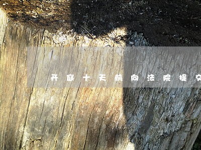 开庭十天前向法院提交证据 开庭十天前向法院提交证据