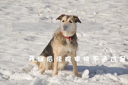 开庭后法院审核不通过是什么意思 开庭后法院审核不通过是什么意思