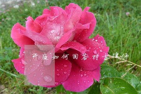 开庭如何回答对方律师 开庭如何回答对方律师