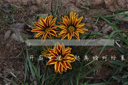 开庭审理一起离婚纠纷案件 开庭审理一起离婚纠纷案件